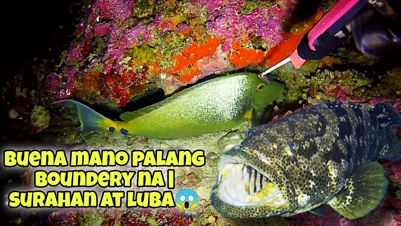 BUENA MANO PALANG BOUNDERY NA | SURAHAN AT LUBA🤩 RE UPLOAD #kapanatv #fishing #fish #viral #gopro