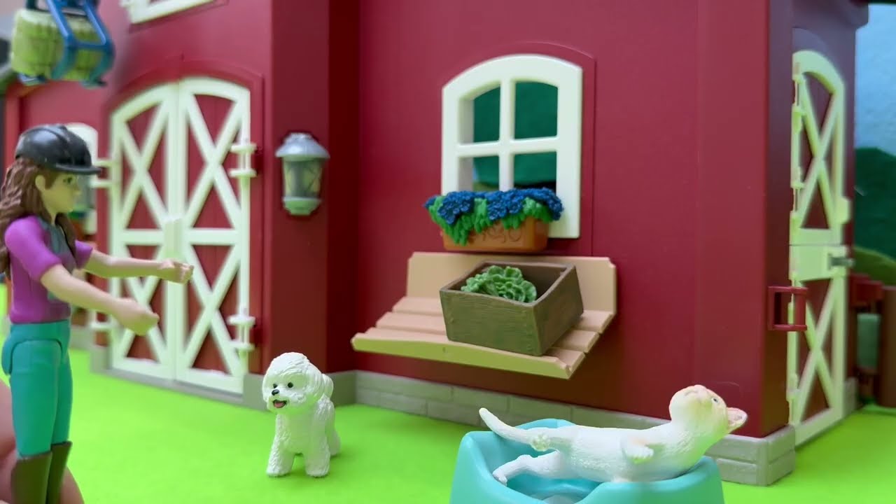 Olly the dogs important mission! what do you think it is?