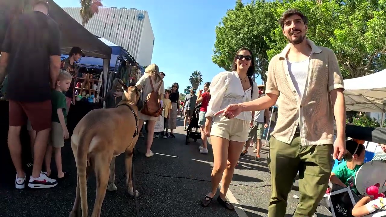 Cash 2.0 Great Dane at the Sherman Oaks Street Fair 2024 (9 of 14)