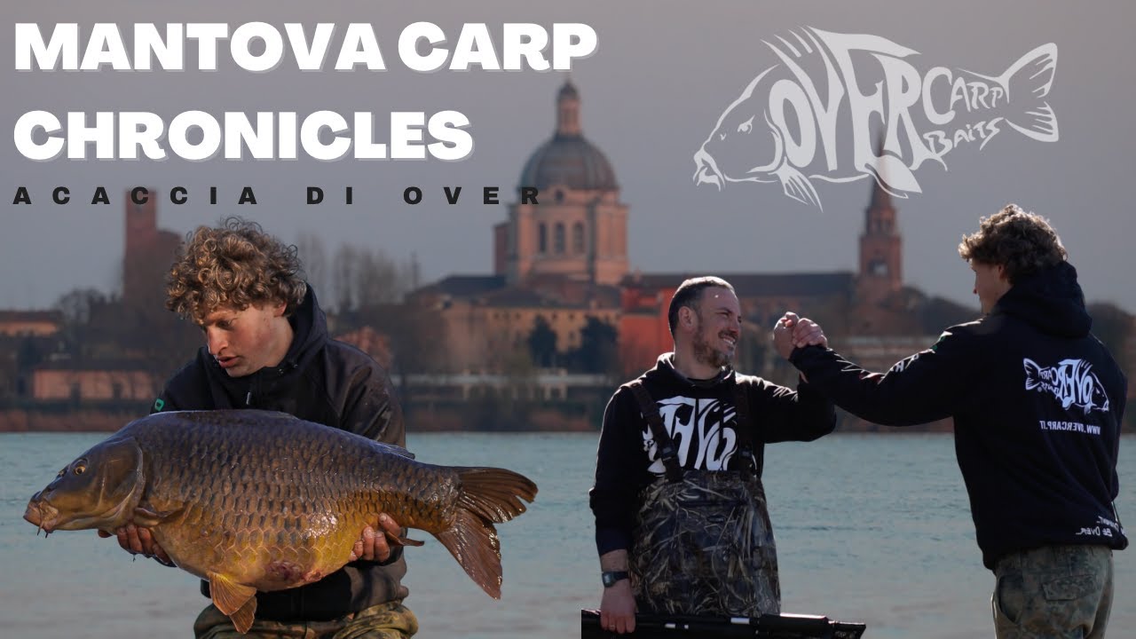 Mantova Carp Chronicles: a caccia di over