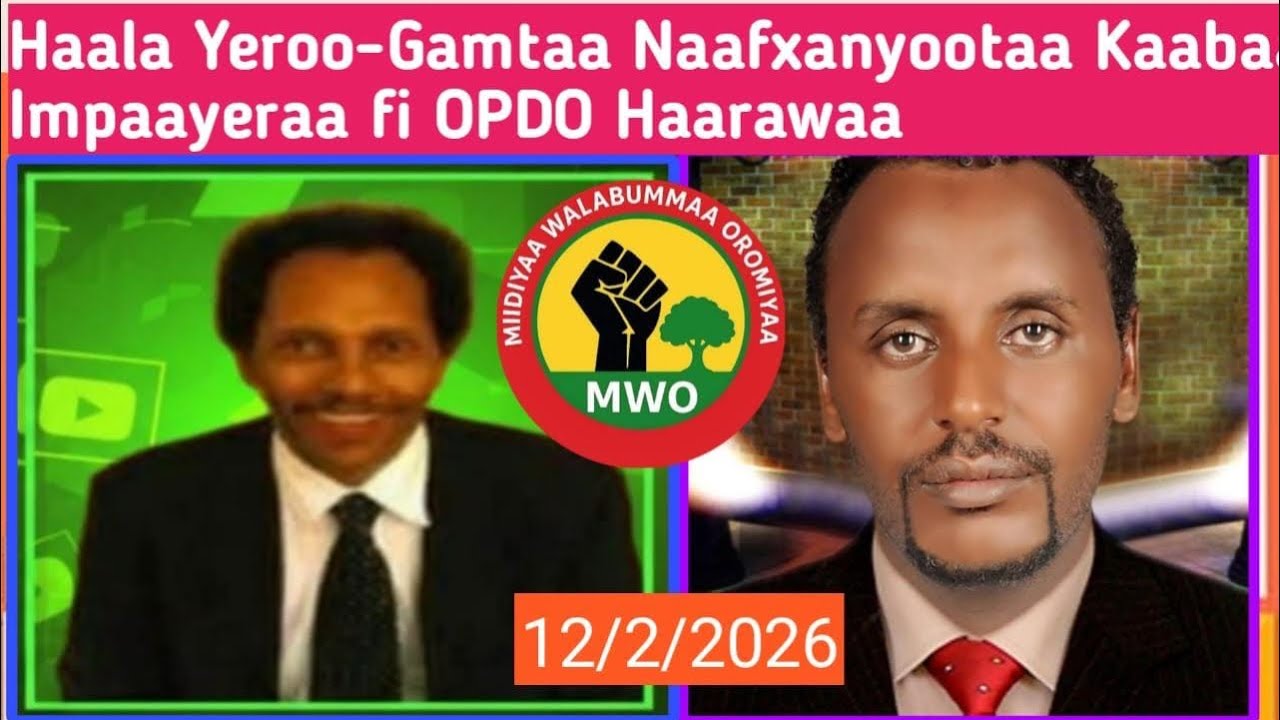 Gamtaa Naafxanyootaa fi OPDO Haarawaa: Haala Siyaasaa Gaanfa Afrikaa”