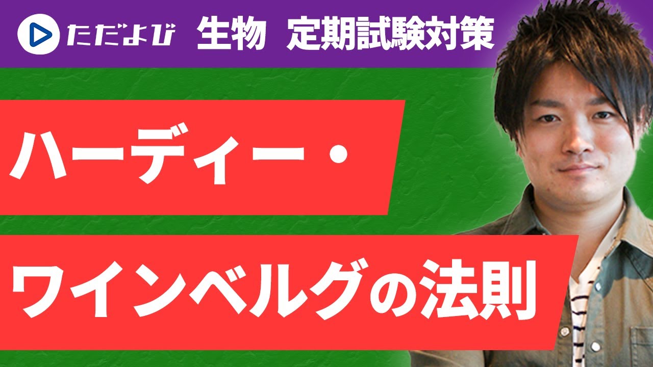 【生物 定期試験対策】ハーディー・ワインベルグの法則*