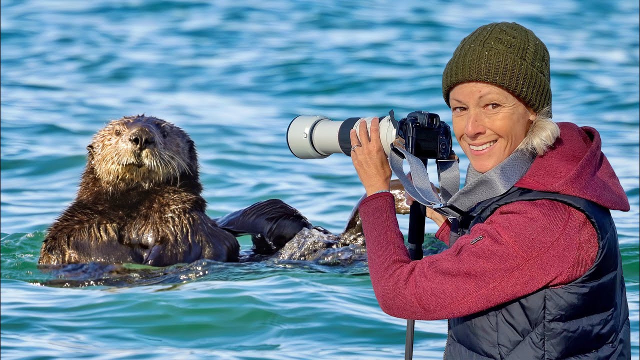 3 Interesting Facts About SEA OTTERS | Moss Landing State Beach