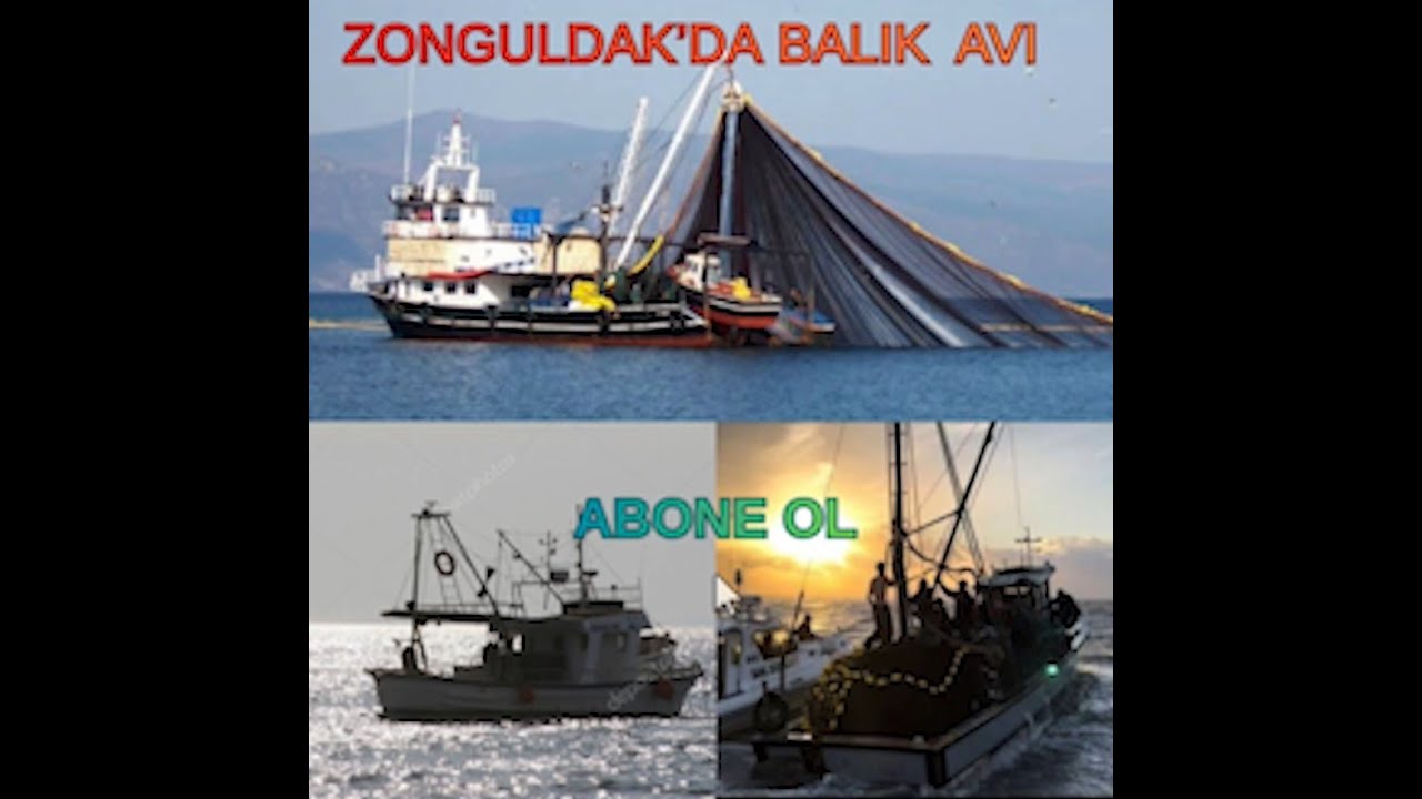 ZONGULDAK BALIK AVI