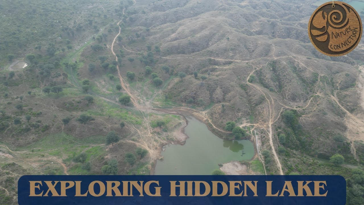 Exploring Alwar's Hidden Lake | Alwar Nature Importance of Aravallis | Nature Connection