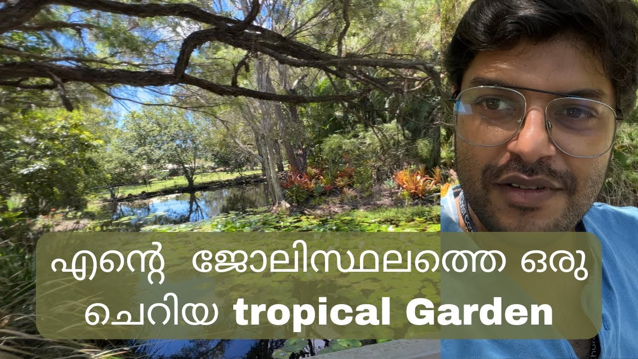 ഓസ്‌ട്രേലിയയിൽ എന്റെ ജോലി സ്ഥലത്തെഒരു ചെറിയ tropical garden / A little tropical garden In Australia