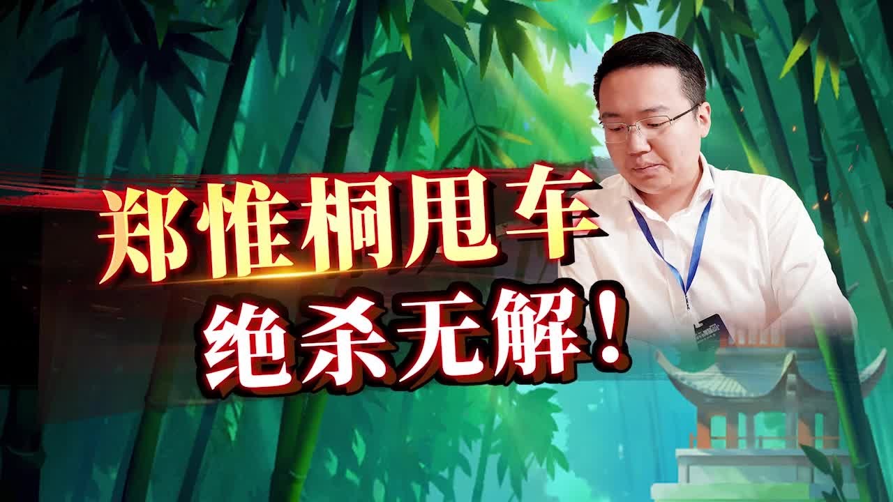 控盘高手 绵里藏针！