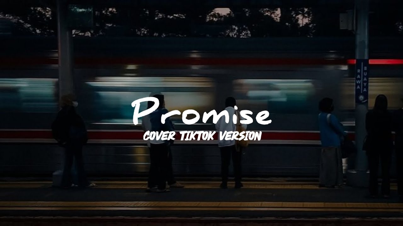 Promise - Melly Goeslow (Cover) Tiktok Version