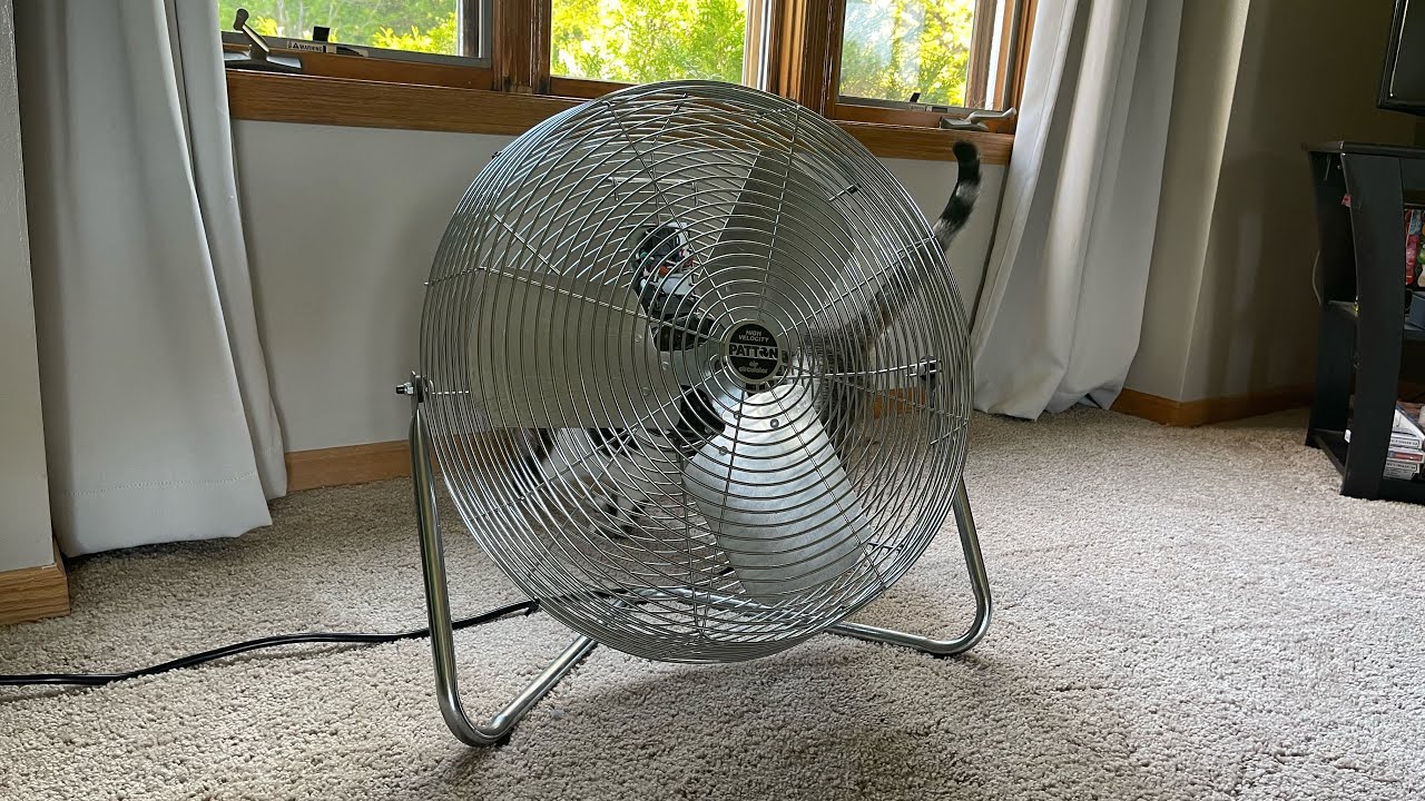 Patton Fan