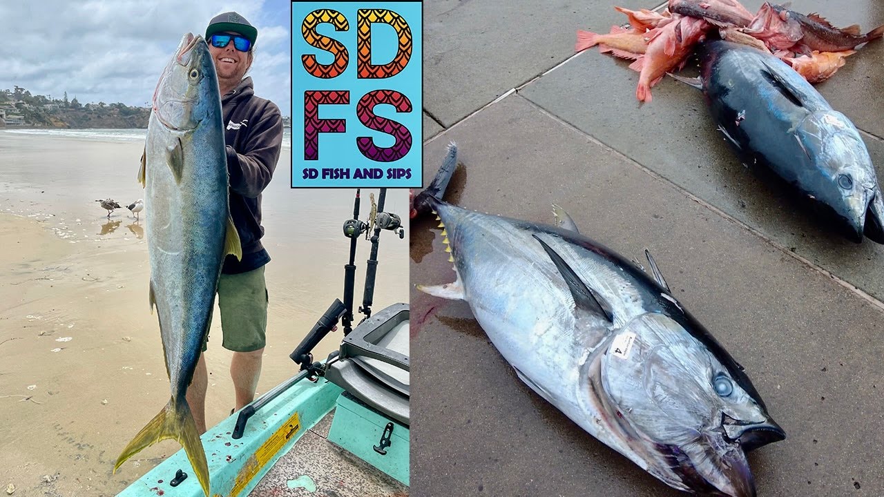 San Diego Bluefin Tuna Sportfishing & La Jolla Yellowtail Solo Skiff Fishing | May Fish Report SDFS