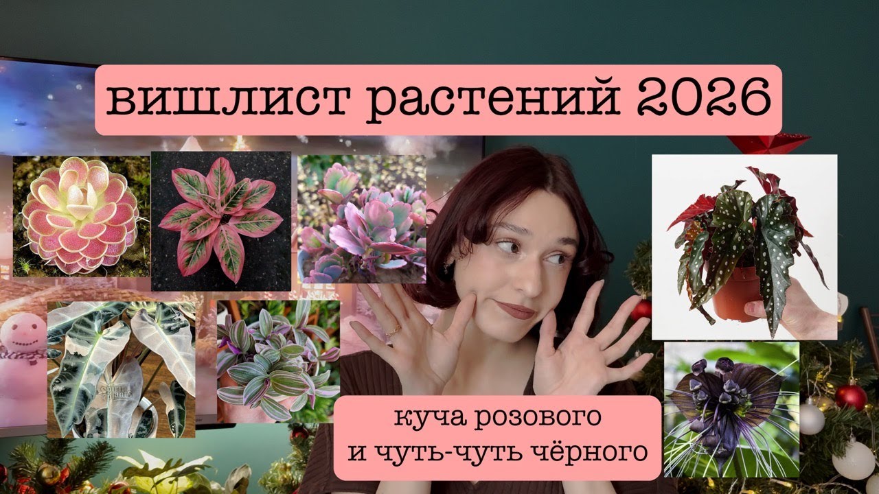 Вишлист растений 2026