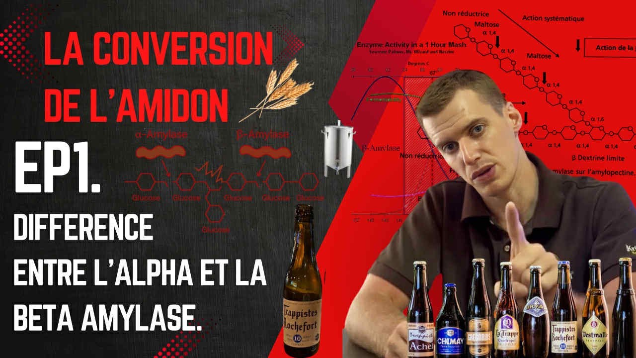 EP1. La conversion de l'amidon - Diff&eacute;rence entre l'alpha et la b&ecirc;ta amylase.