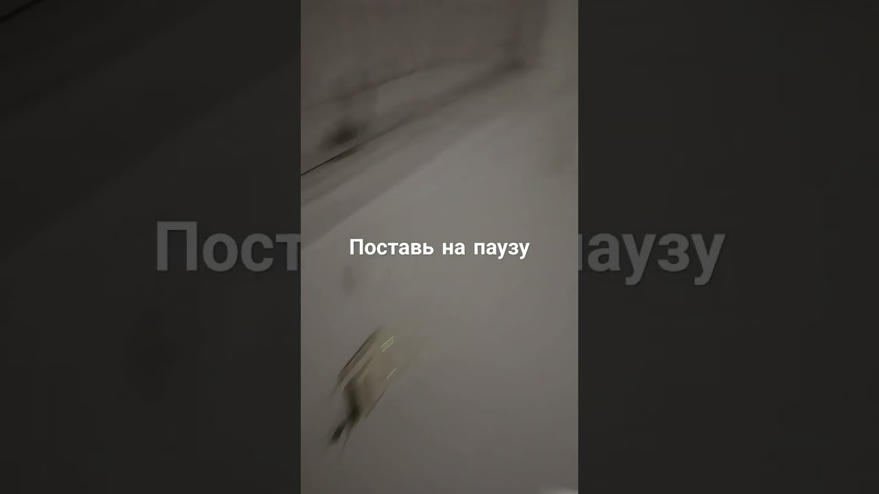 17 июня 2024 г.