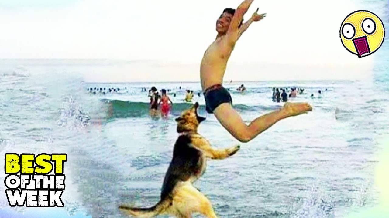 TRY NOT TO LAUGH #11 | 😂  Best Fails of The Week | Instant Regret Fails Compilation 2026
