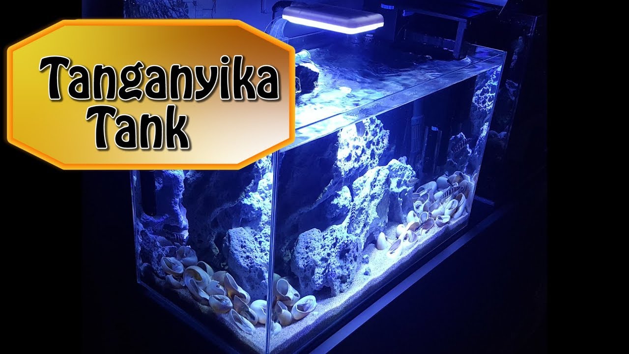 Tanganyika Tank