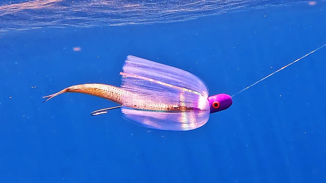 Fish CANDY!! They can't resist these rigs! (Seafood Crisis Averted!)