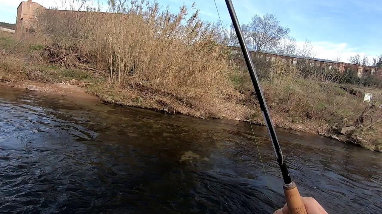 Sortie p&ecirc;che sur le no kill de la lergue
