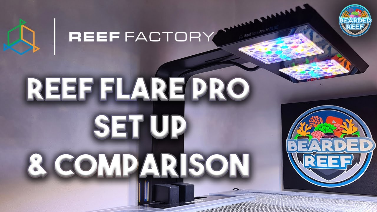 How to set up the Reef Factory Reef Flare Pro Blue M on the reef factory app, Smart lighting.