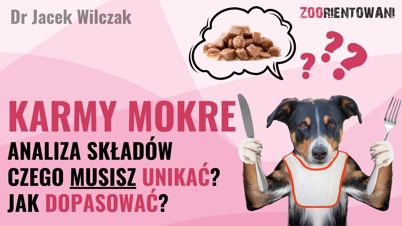 Cała prawda o karmach mokrych w żywieniu psa