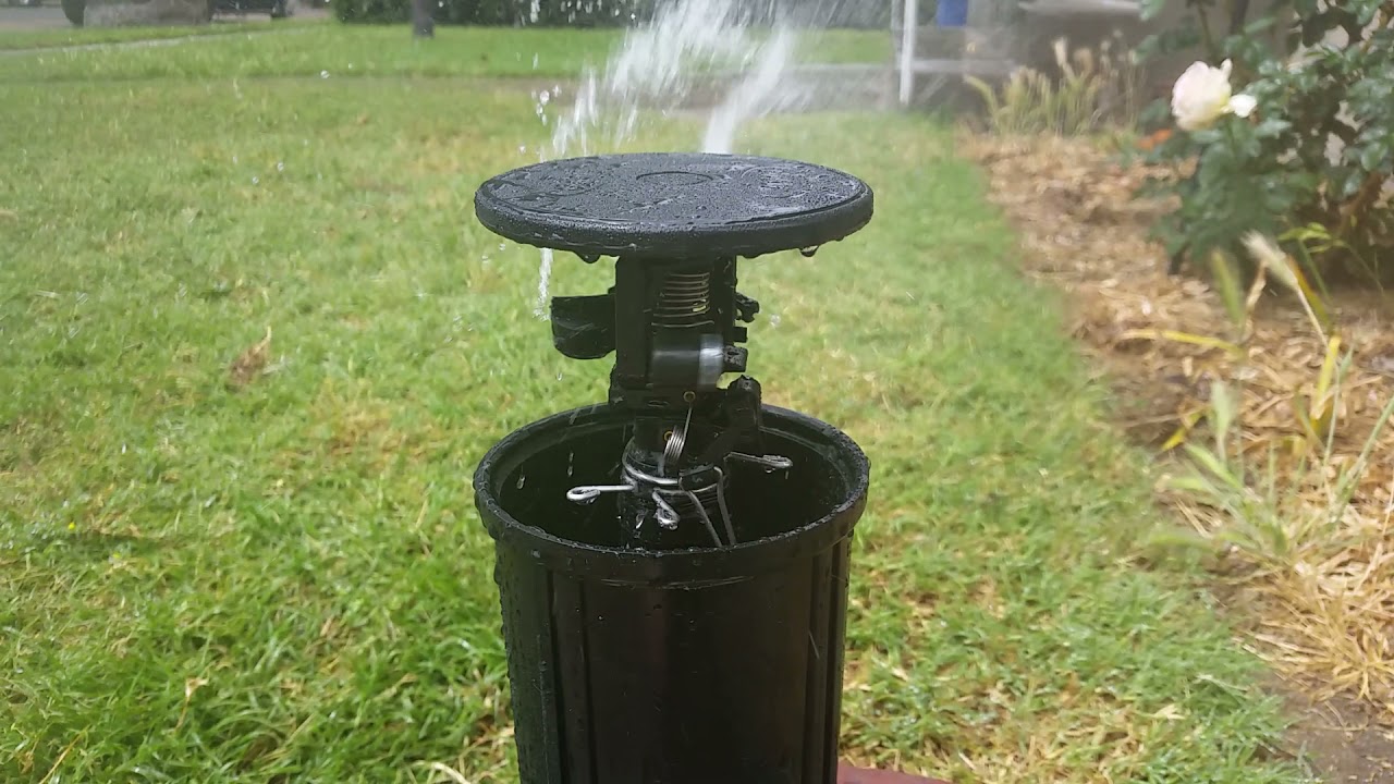 Orbit Pulse Pop-up Impact Sprinkler