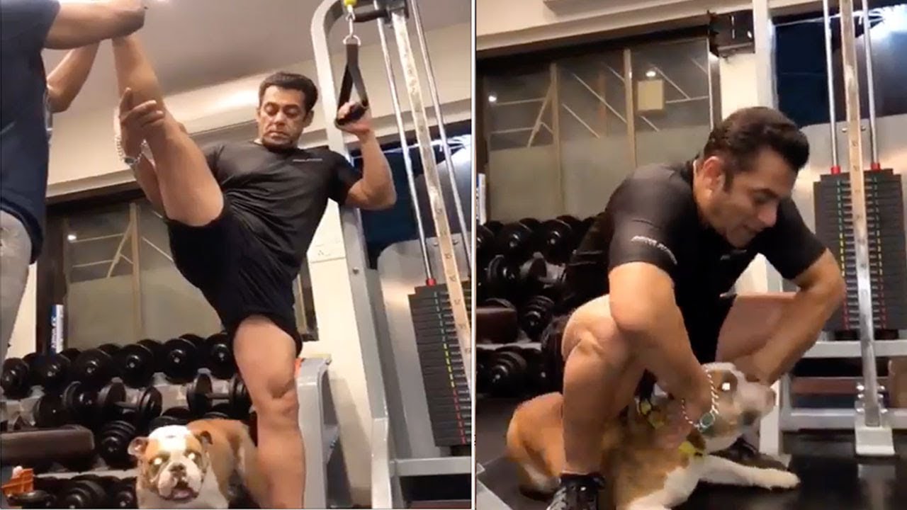 Salman Khan Playing With His Dog Torro During Workout in Gym Will Make You Smile