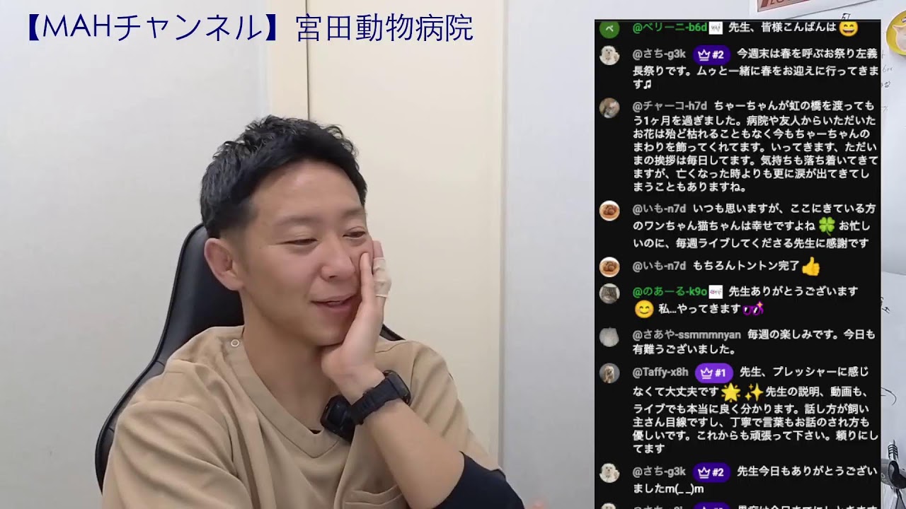 宮田動物病院 ライブ配信【MAHチャンネル】
