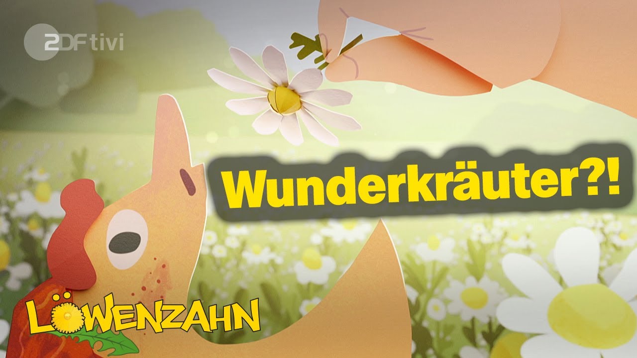 Heilende Kräuter - Löwenzahn  | ZDFtivi