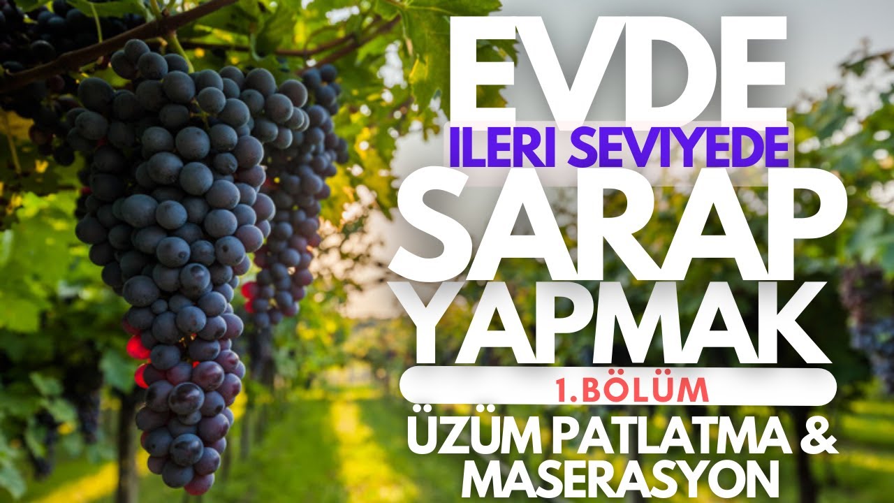 Evde Şarap Yapmak 1: Üzüm Patlatma & Maserasyon  #EvdeŞarap #HomeMadeWine #winemaking