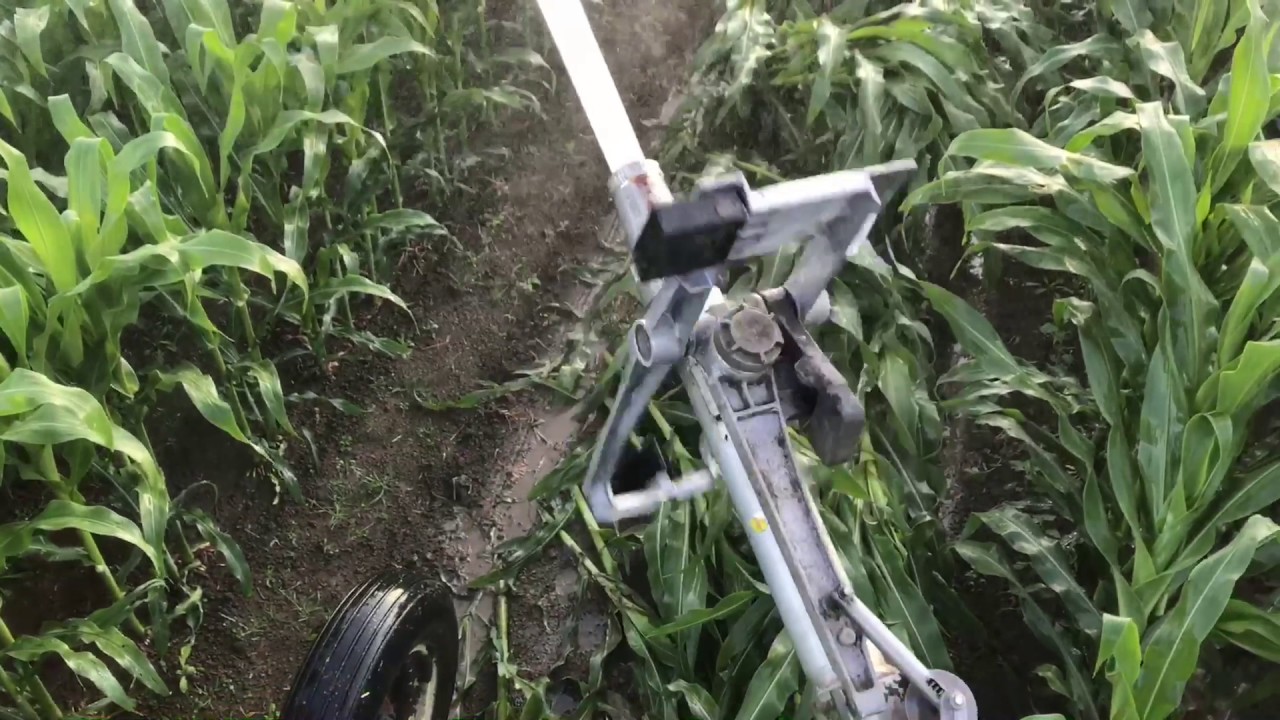 Running through getting wet irrigated corn 🌽Nelson Gun
