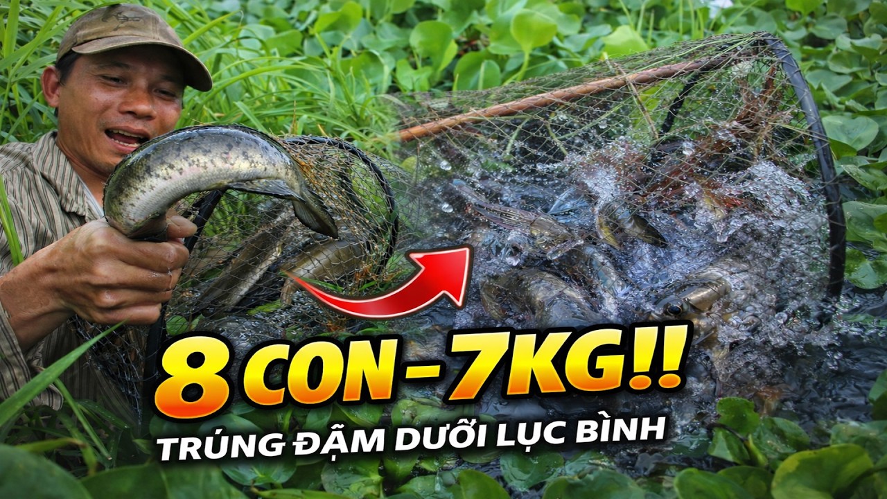 Đặt Lờ C&aacute; L&oacute;c , Tr&uacute;ng Đậm 1 C&aacute;i 8 Con Quậy X&uacute;c C&acirc;y Bể Lờ Lu&ocirc;n