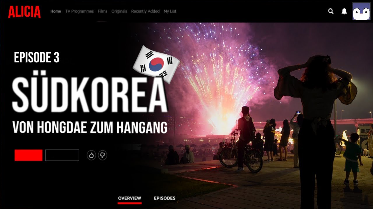 Südkorea bei Nacht – Hongdae und Hangang Firework Festival | Alicia x Seoul Reisevlog