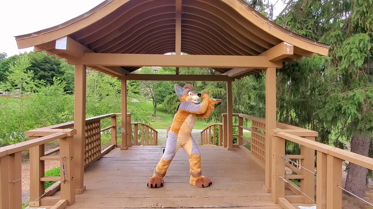 Jamage Anthrocon Virtual Dance Comp 2020 2nd Place