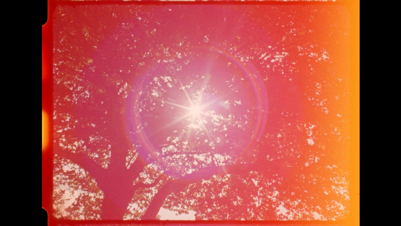 A kiwi backyard wedding on 16mm - New Zealand films