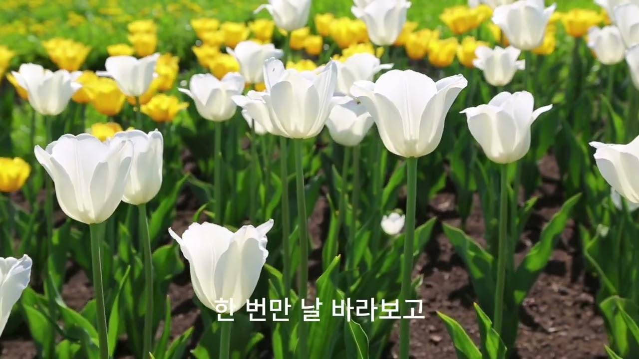 에코의 사랑 0302