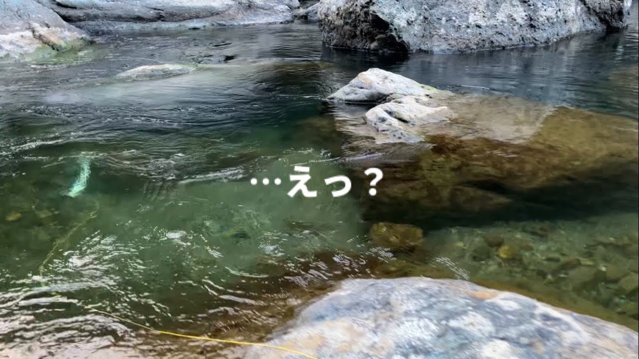 【鰻の捕り方】ウナギ仕掛けの王道「置き針」でとんでもない事がおきた