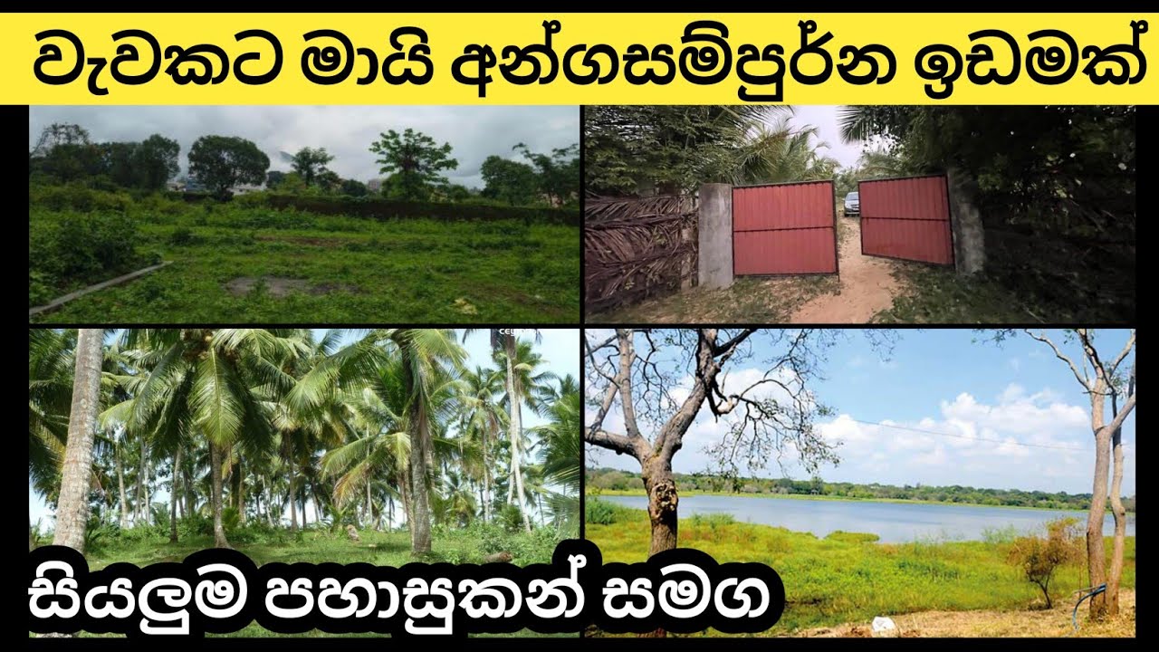 වැවකට මායින් අංගසම්පුර්ණ ඉඩමක් විකිණිමට | idam lanka | Land sale in srilanka 