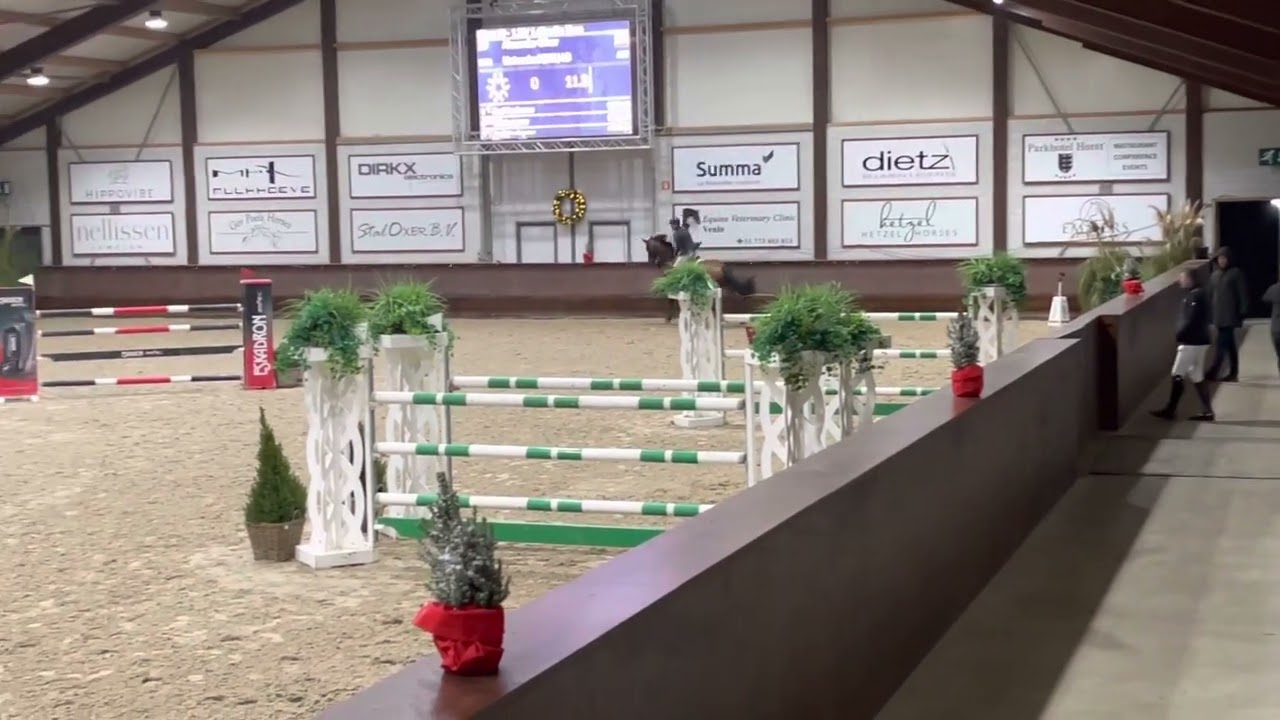 Untouched LB (6 yo United Touch S x Cornet Obolensky ) 1,35m/1,40
