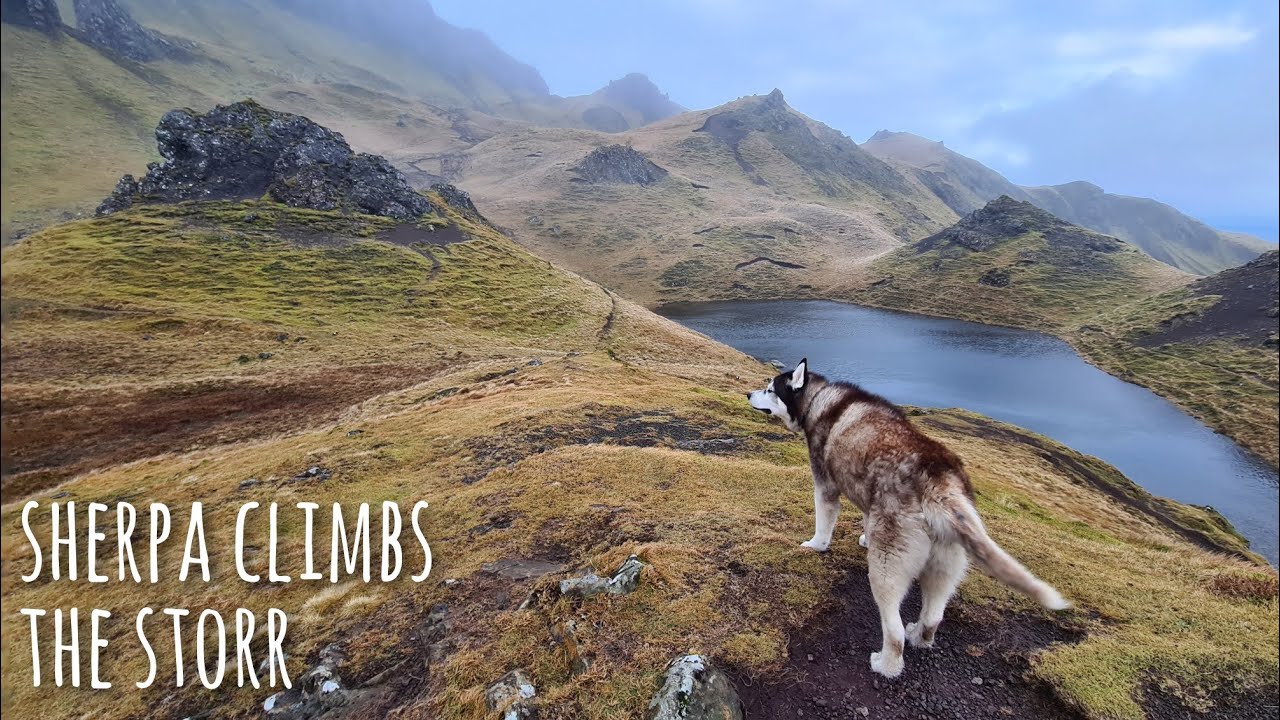 Husky Climbs The Storr and are Amazed by what we see!