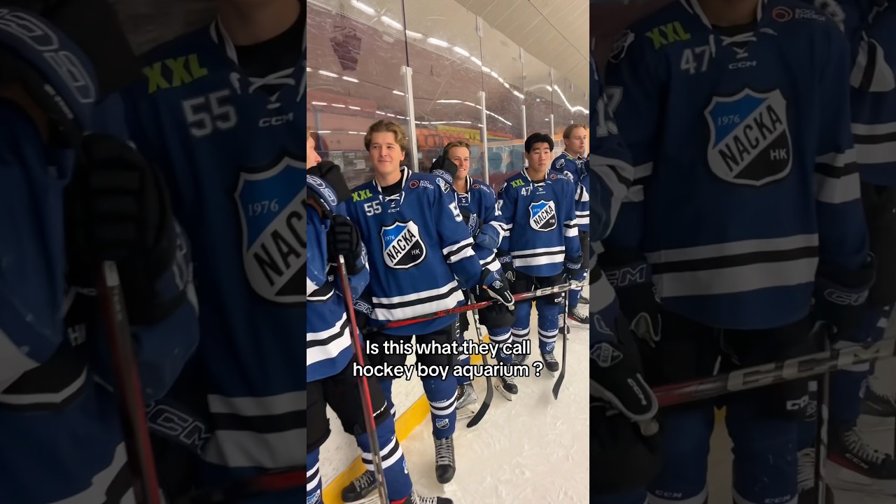 Nackarockers hockey boy aquarium