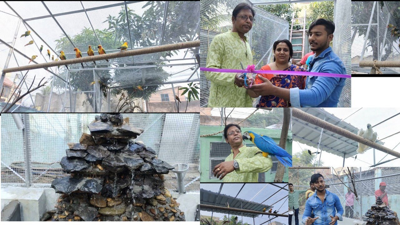 Opening the colourfull beautiful exotic bird parrot Aviary. making open aviary