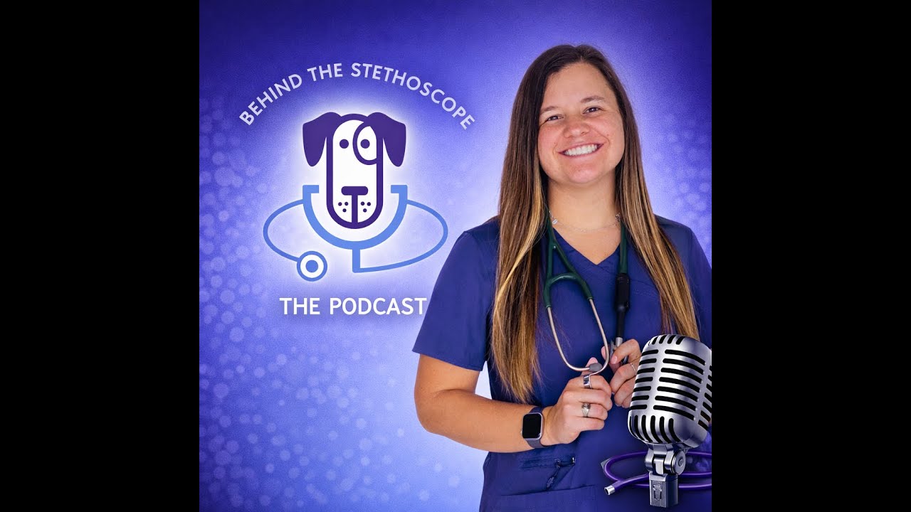 Behind the Stethoscope: Mistakes, Growth, and Grace as a ER Veterinarian