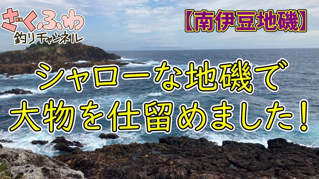 シャローな地磯に潜む大物！ヒラスズキゲットだぜ！【南伊豆地磯】【ロックショア】