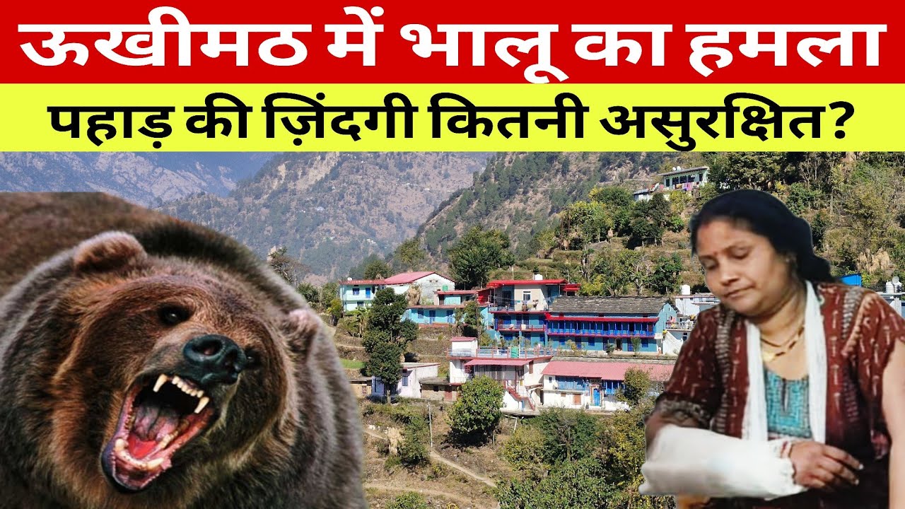 Ukhimath Bear Attack l पहाड़ की ज़िंदगी कितनी असुरक्षित? I ऊखीमठ में महिला पर भालू का हमला