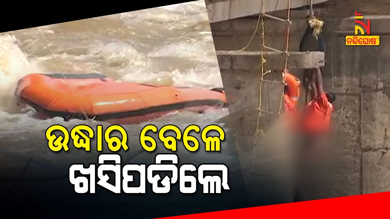 Elephant Rescue: ODRAF Boat Capsizes In Mahanadi River Amid Rescue Operation | NandighoshaTV