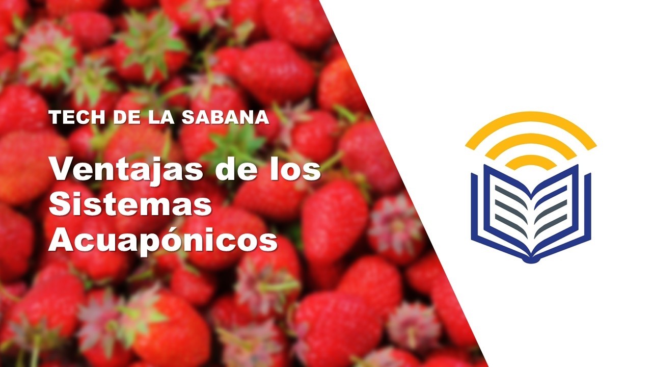 Ventajas de los Sistemas Acuapónicos