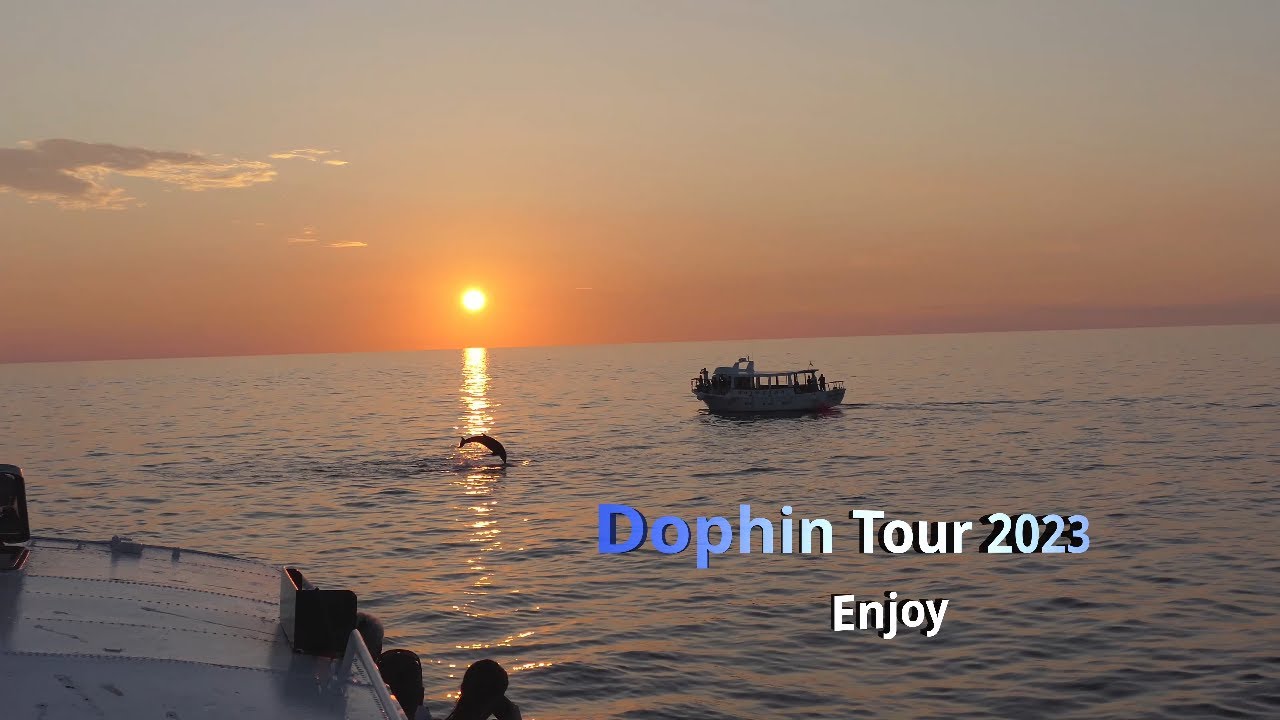 Dolphin At Sunset: Watch The Beautiful Colors Of The Setting Sun with Dolphin! / Dolphins in Poreć