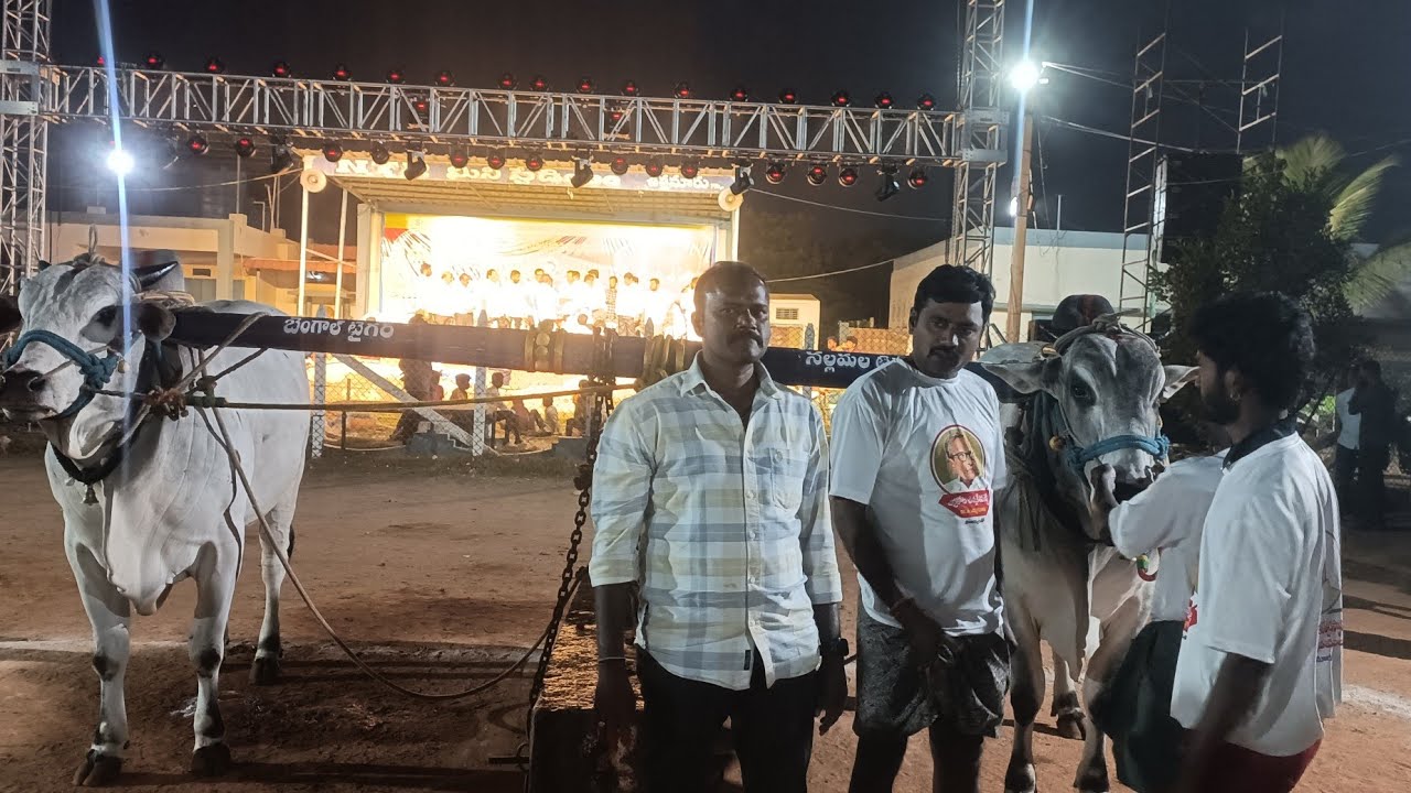 ఉత్తనూరు న్యూ కేటగిరి విభాగం 11 వ జతగా Sukkanna అన్నగారు💥💥🐂Live Suresh golden