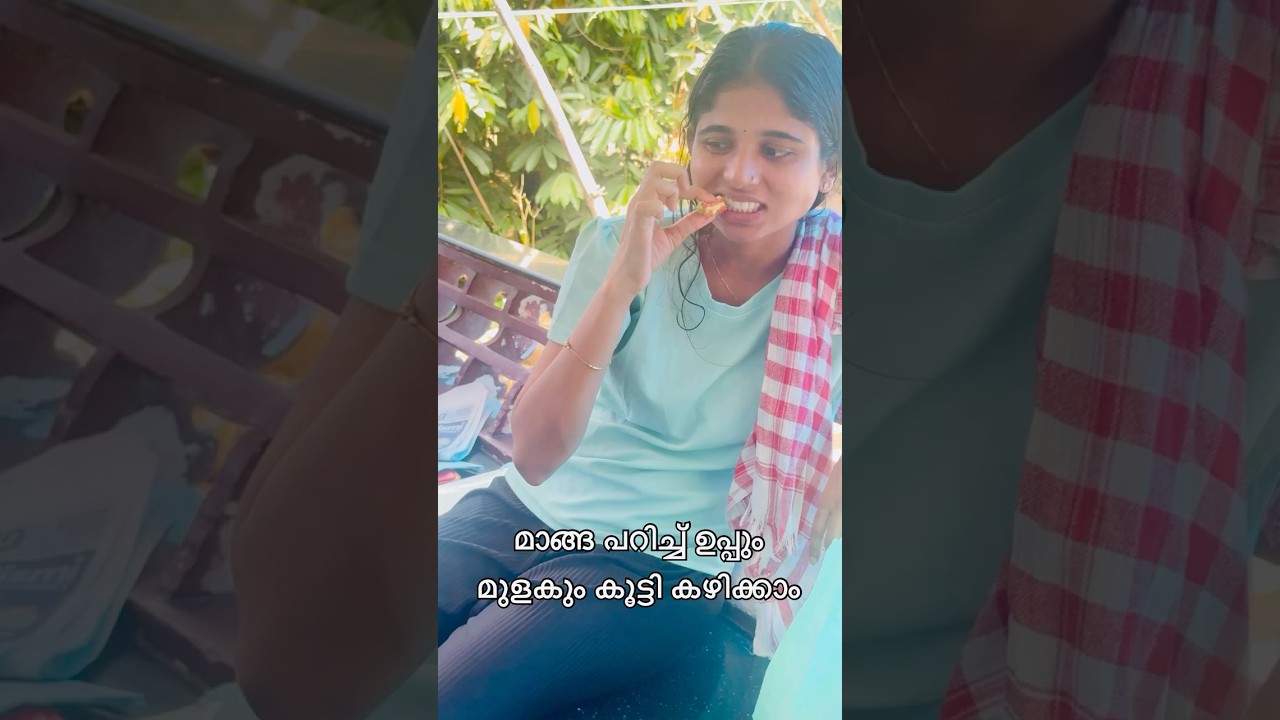 പച്ച മാങ്ങേം ഉപ്പും മുളകും 🤤