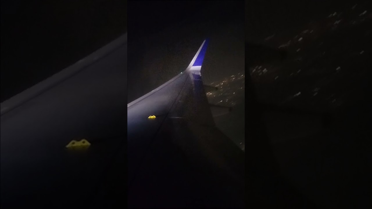Indigo inside 