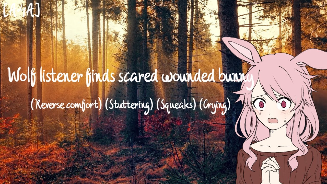 [A4A] Wolf listener finds scared wounded bunny (Reverse comfort) (Stuttering) (Squeaks) (Crying)